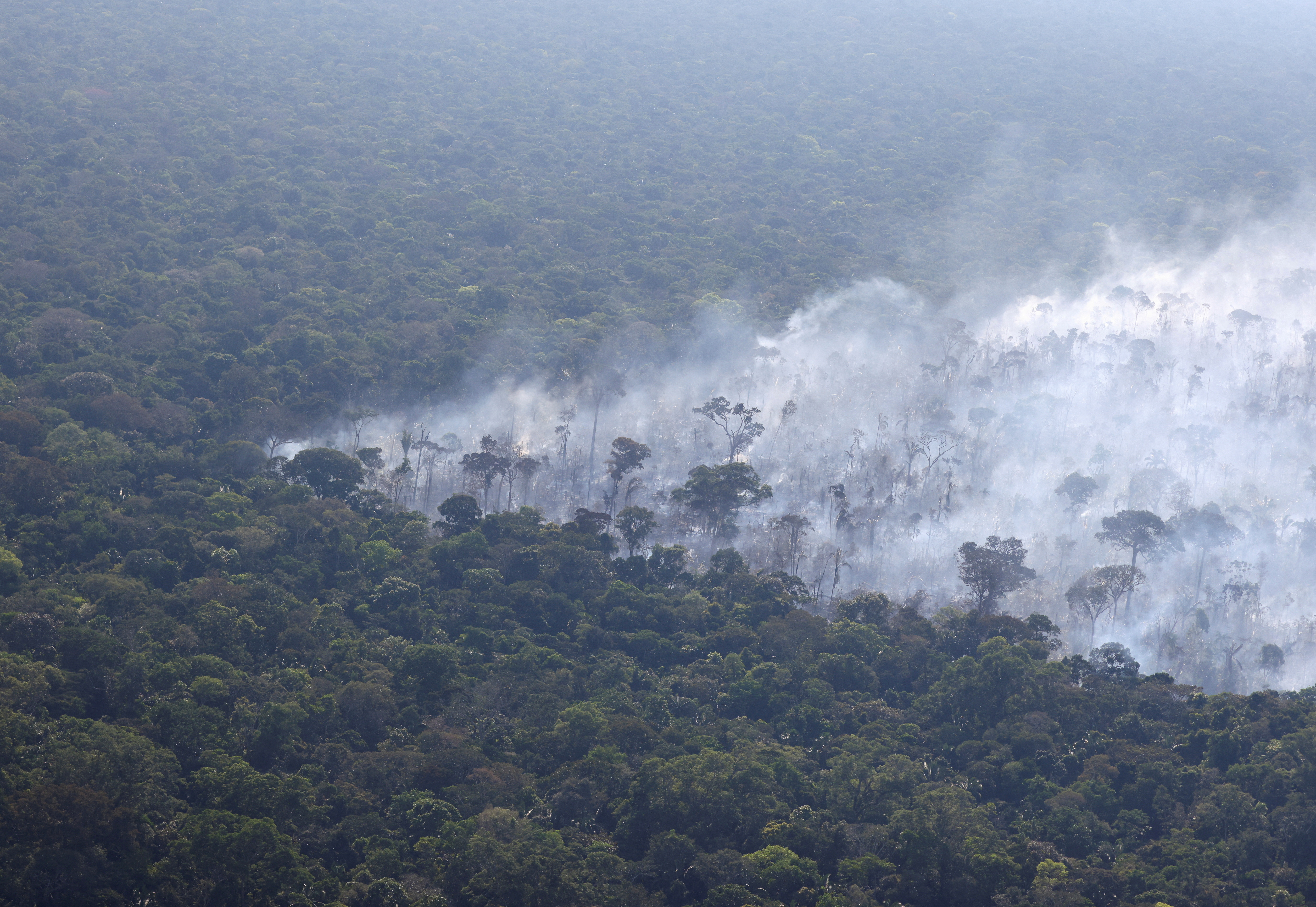 Experts boost Amazon monitoring as annual burning season picks up
