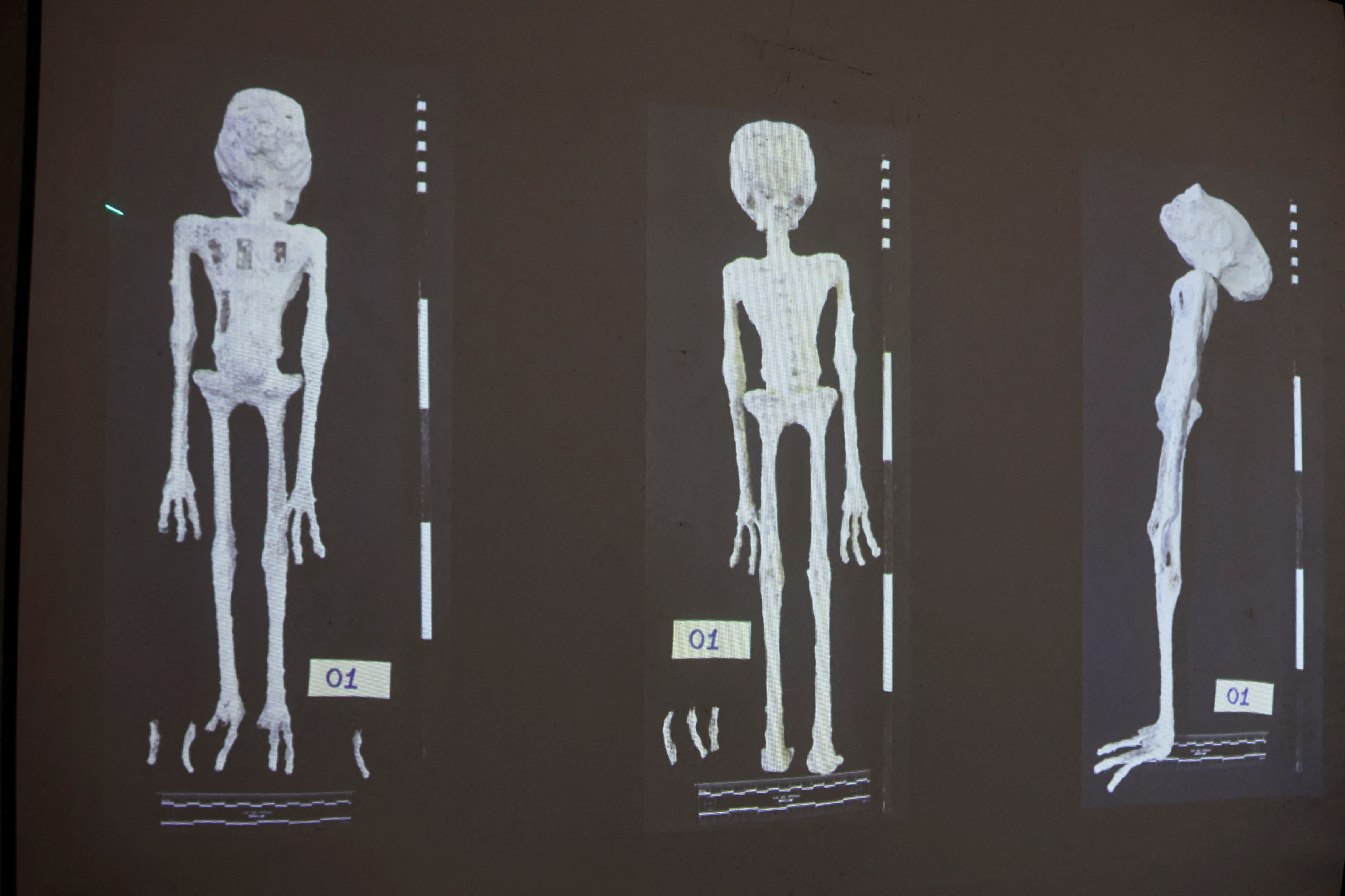 Alien And Girl Fingers Xxx Video - Scientists assert 'alien mummies' in Peru are really dolls made from  Earthly bones | Reuters