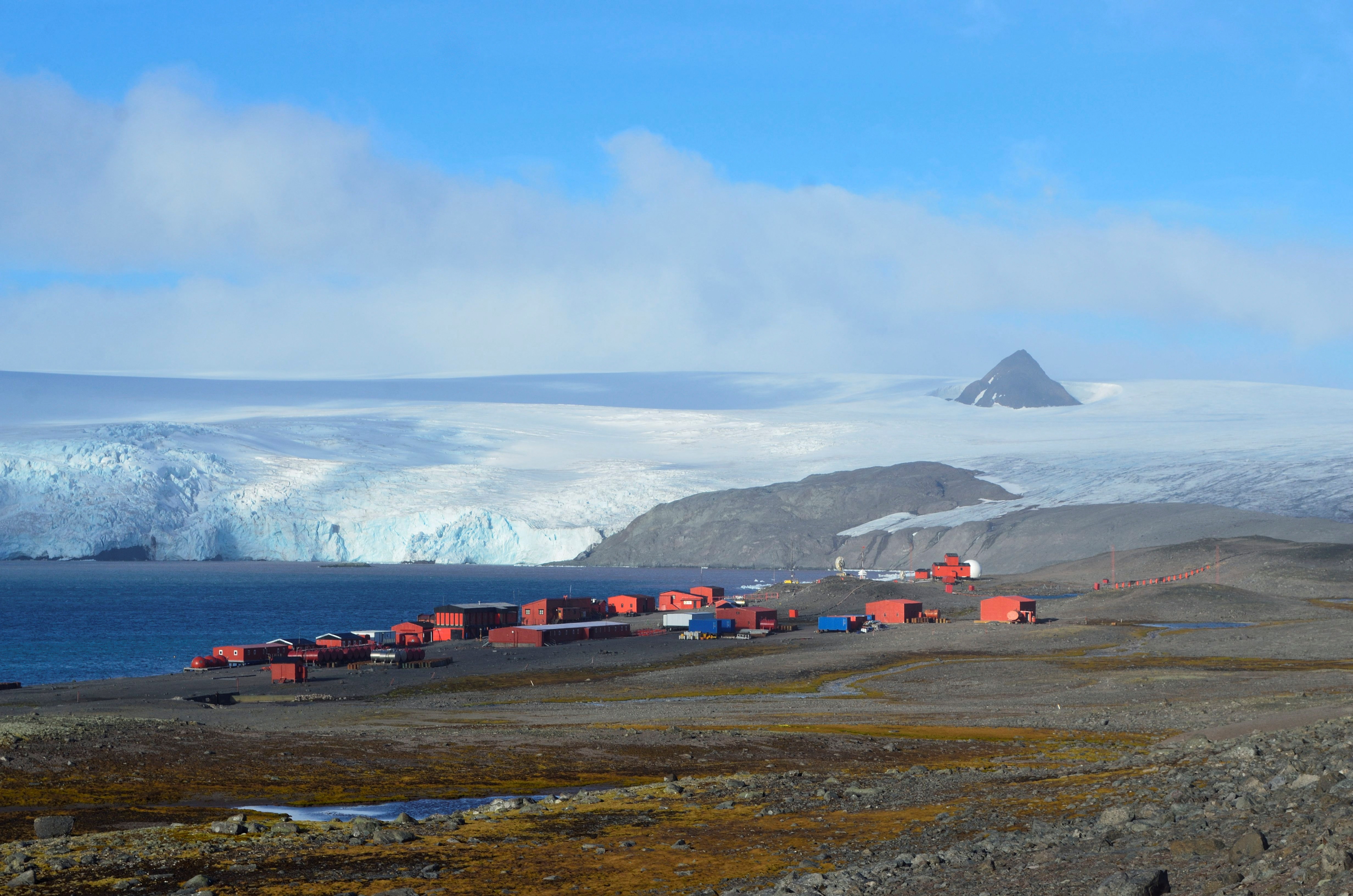 Antarctic fuel-eating microbes may help in plastic clean-up