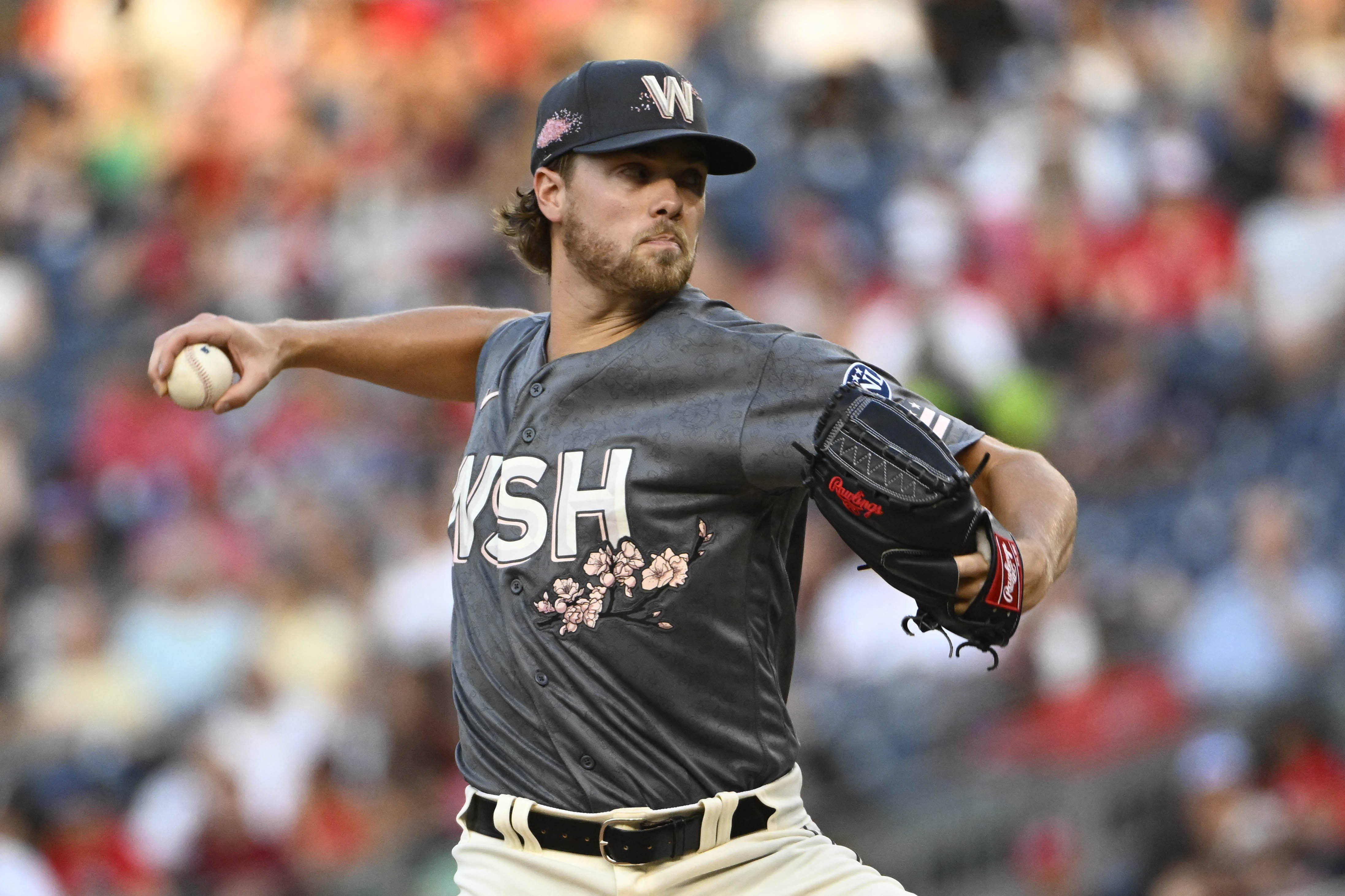 Pin by Running with swords on Baseball ⚾️ in 2023  Washington nationals  baseball, Nationals baseball, Washington nationals