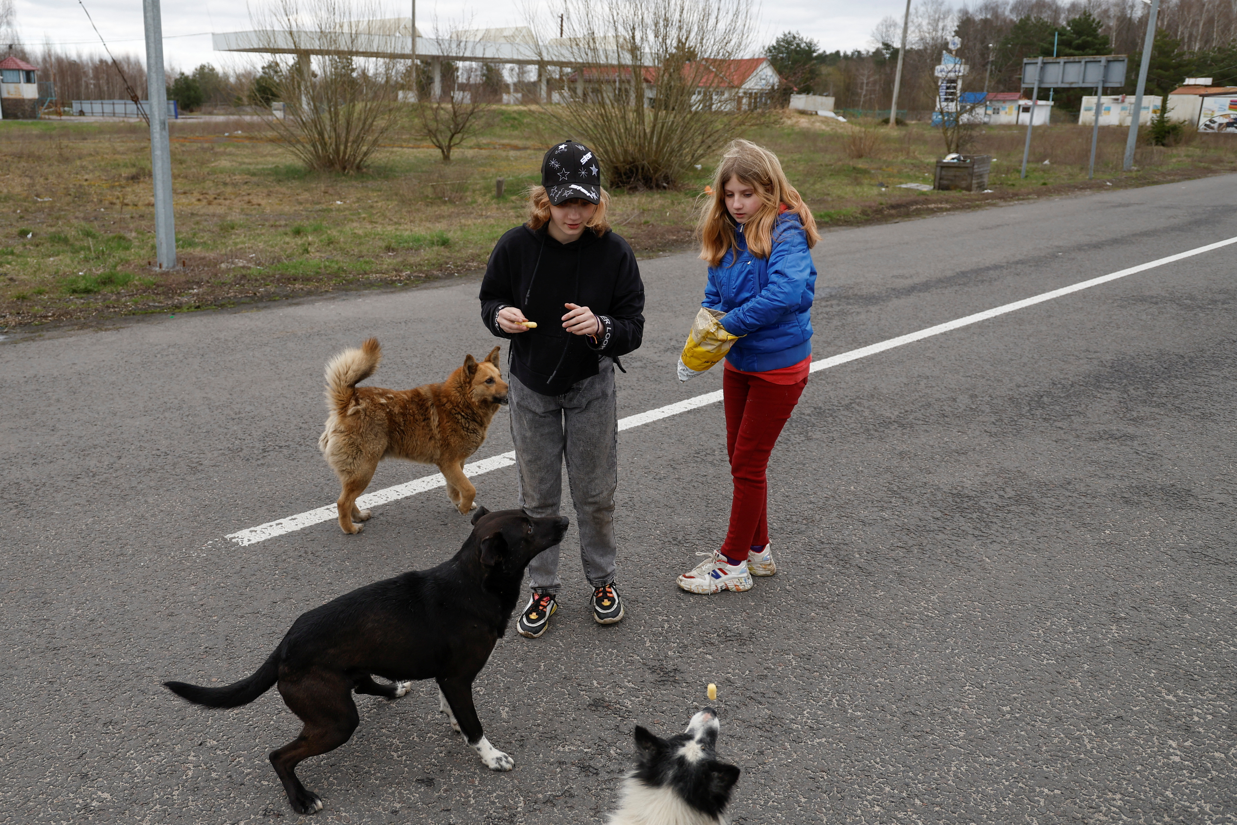 Sisters Anastasiia and Kseniia Hrinchenko, who were taken to Russia, feed dogs after returning via the Ukraine-Belarus border, in Volyn region