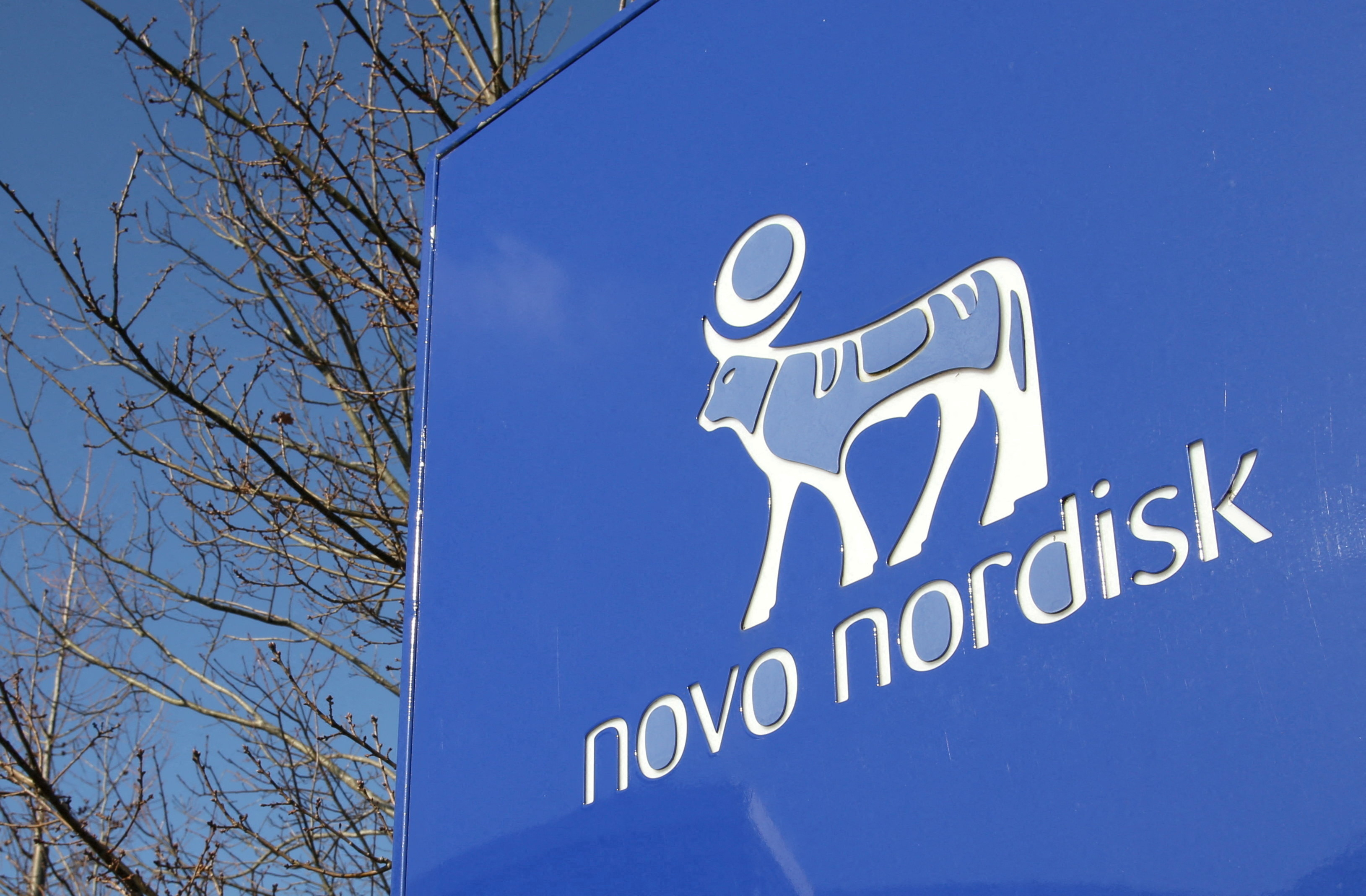 Novo Nordisk hopes to launch experimental obesity drug this decade