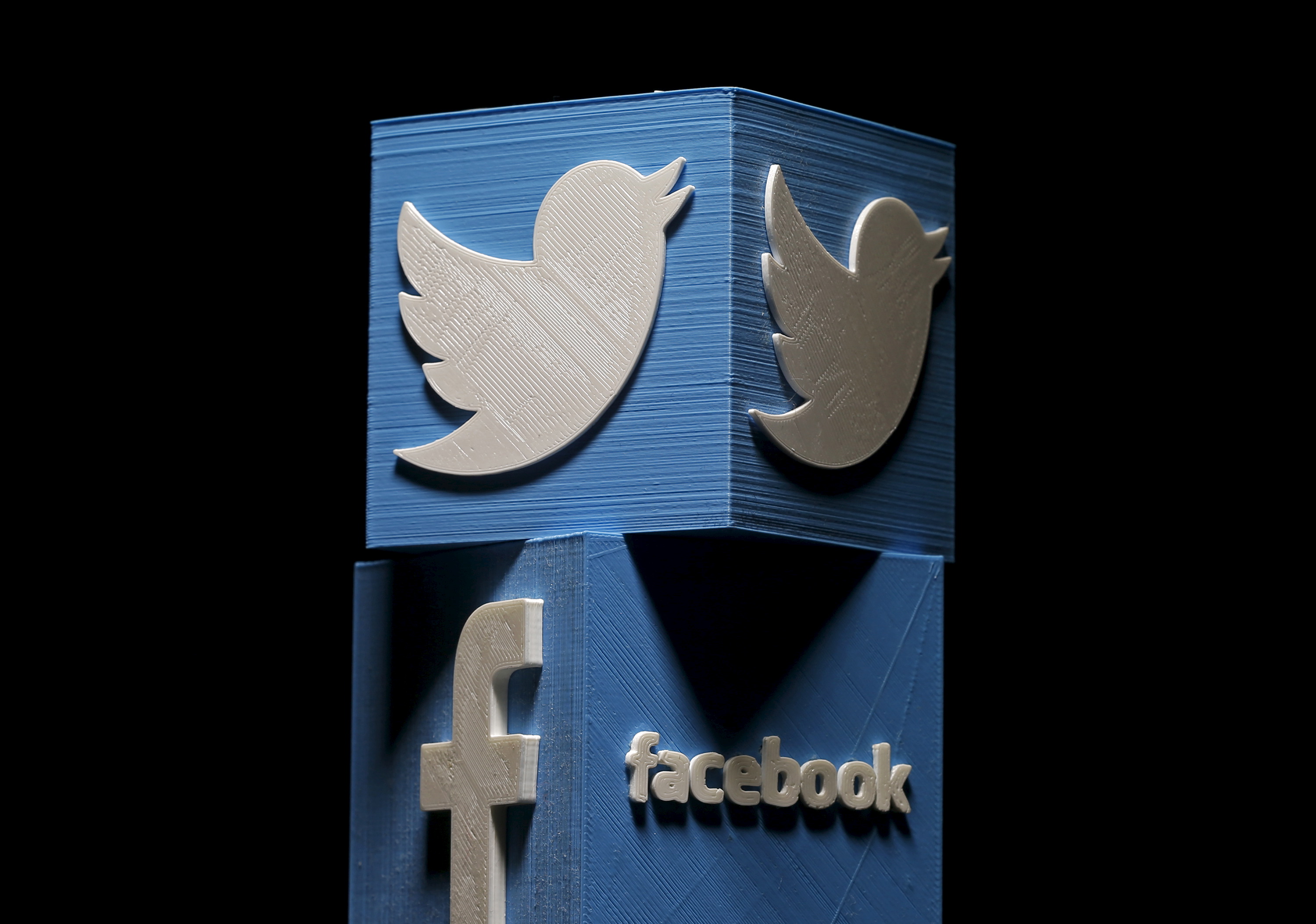 3D-printed Facebook and Twitter logos are seen in this picture illustration made in Zenica, Bosnia and Herzegovina on January 26, 2016.  REUTERS/Dado Ruvic