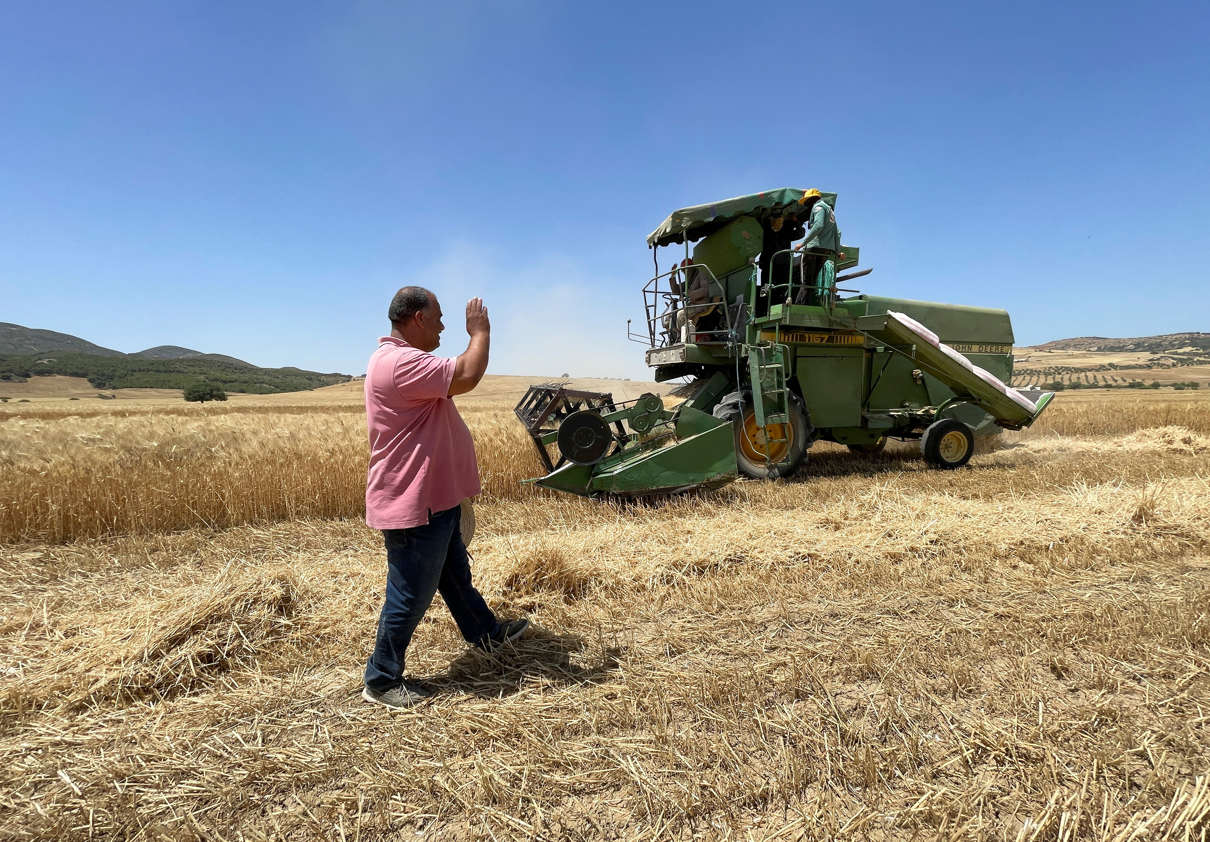 Farme Arfaoui walks in his wheat field during harvest in Krib