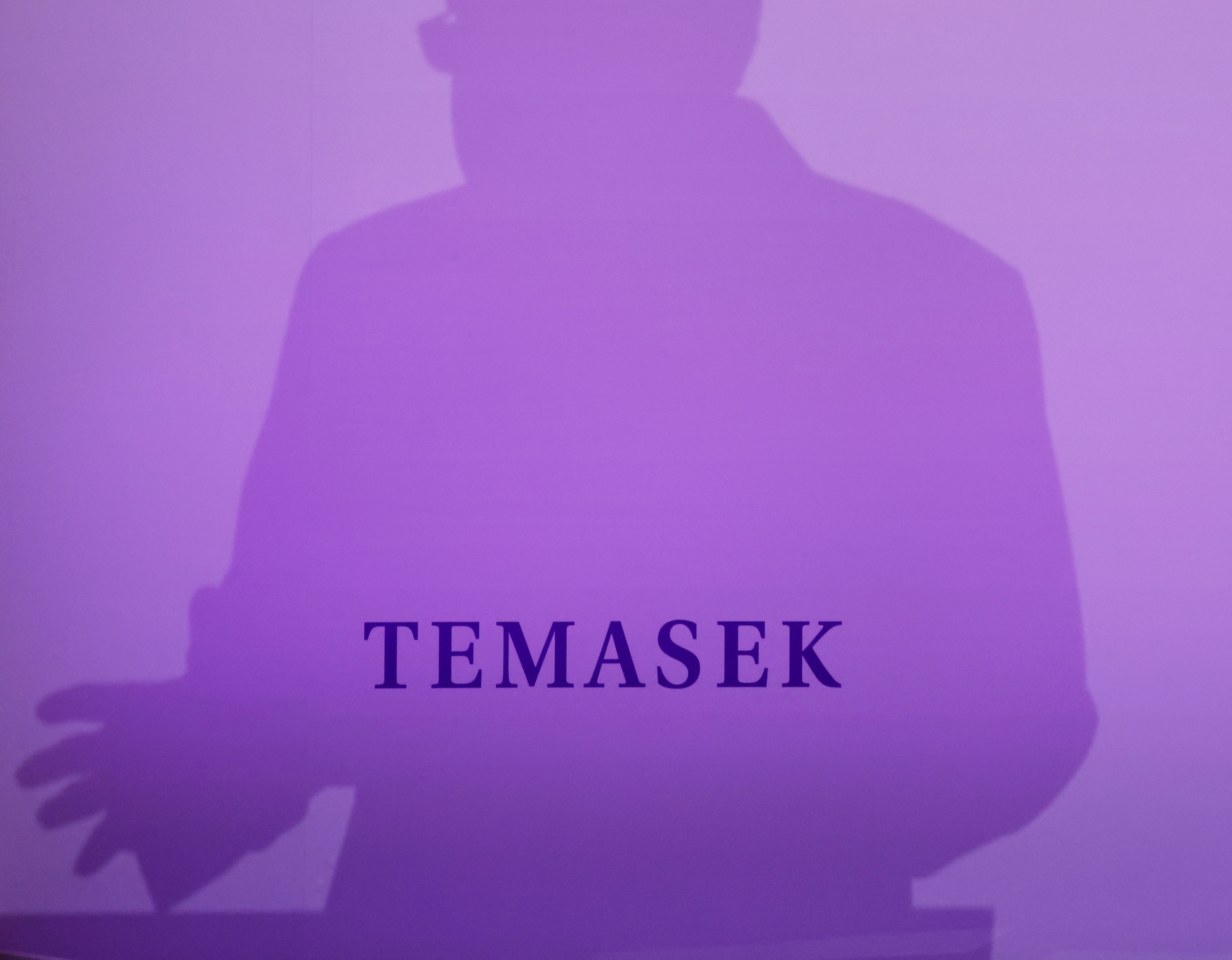 Temasek Review in Singapore